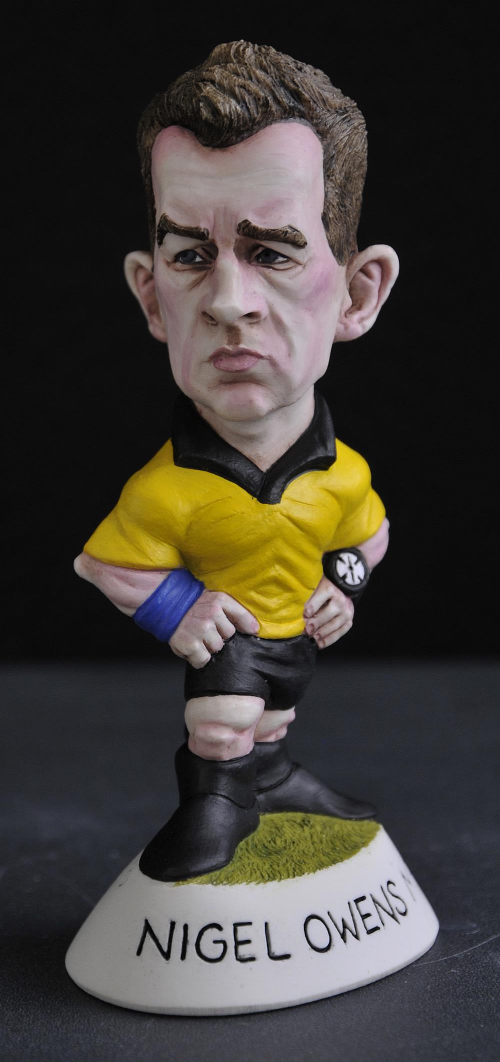 Mini Nigel Owens MBE