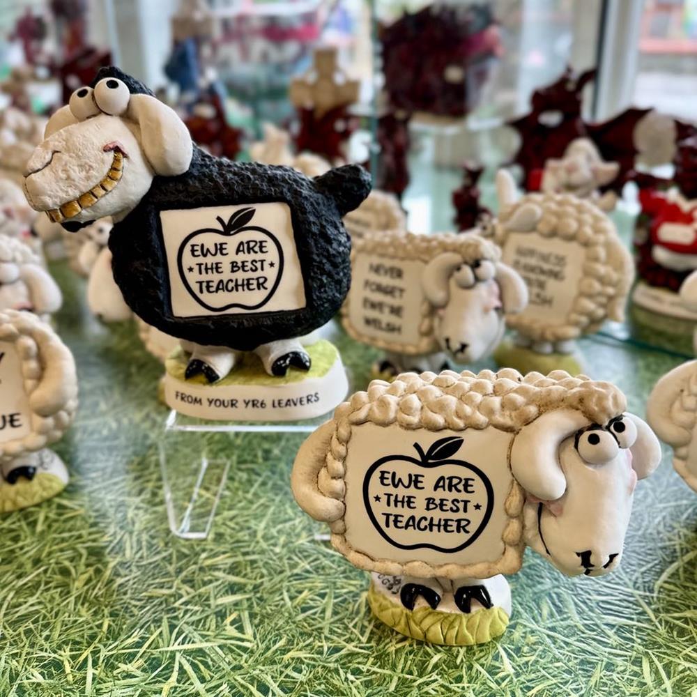 Ewe Are The Best Teacher Sheep