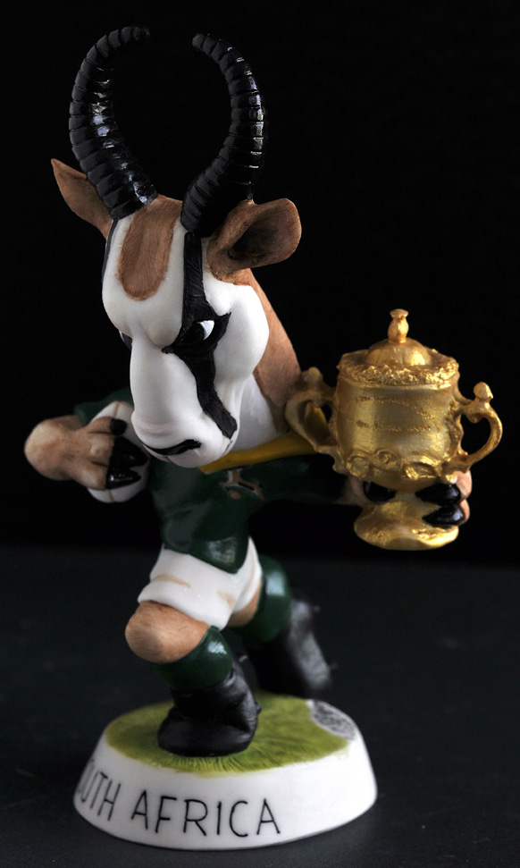 South African Springbok + Cup
