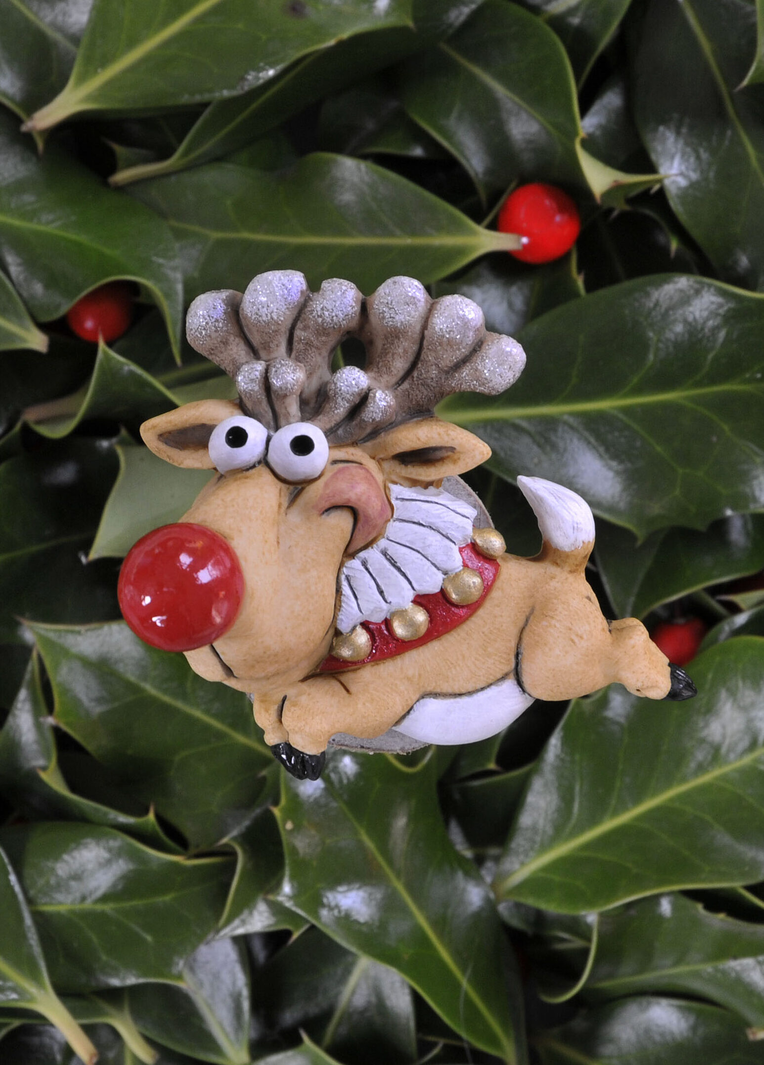 Rwdolff Christmas Decoration