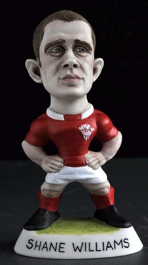 Mini Shane Williams