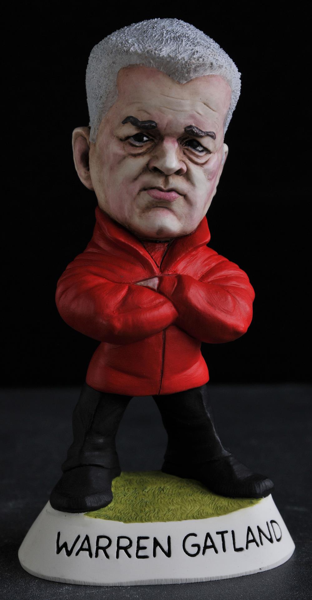 Mini Warren Gatland