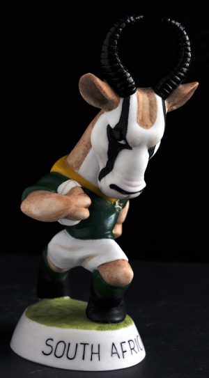South African Springbok