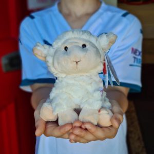 Sheep Soft Toy
