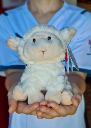 Sheep Soft Toy