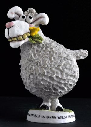 Sheep & Daffodil