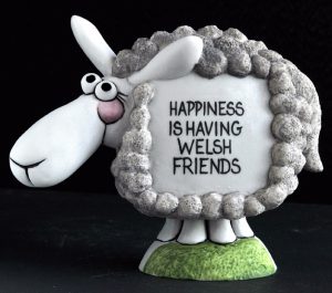 Sticking Up Ear Sheep