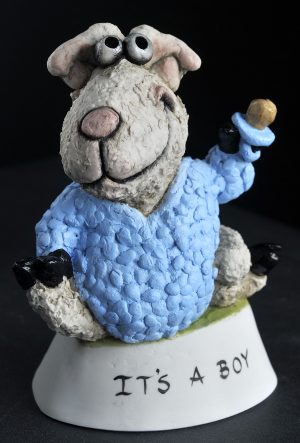 Baby Boy Sheep
